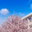 AdobeStock_488417336_1770969563554.jpeg