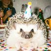 Flux2-Klein_00002__1769173865047_1784267066242.webp