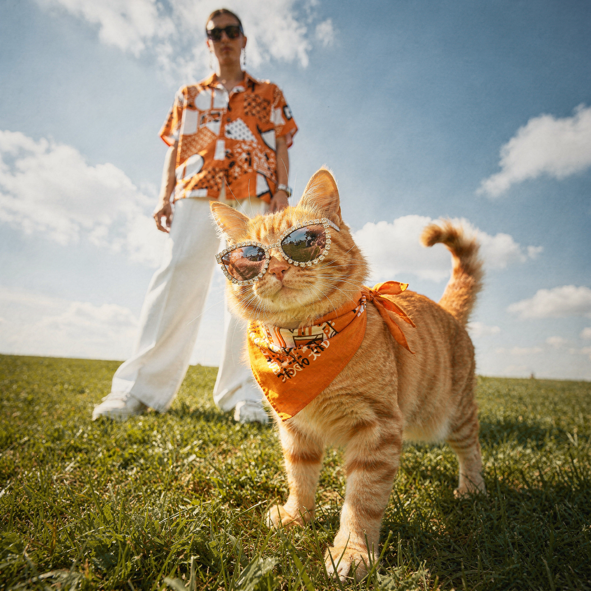 gallery-image-background-6