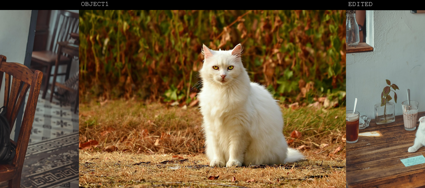 gallery-image-background-0