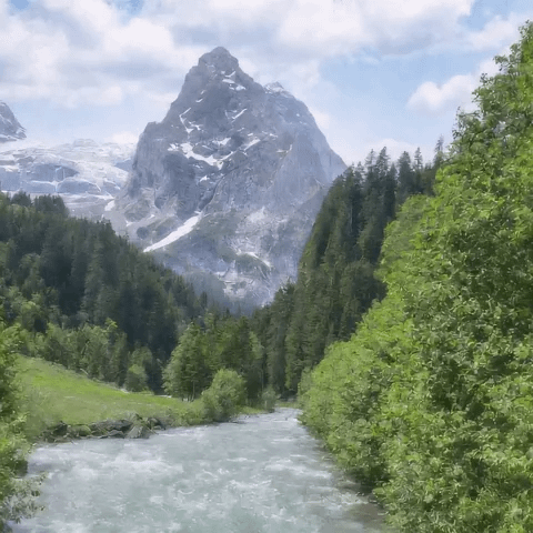 gallery-image-background-1