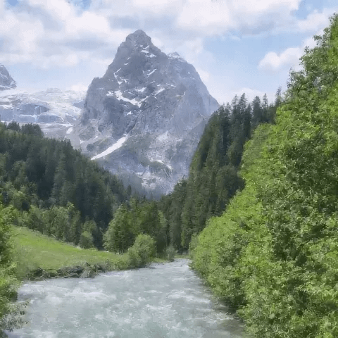 gallery-image-background-2