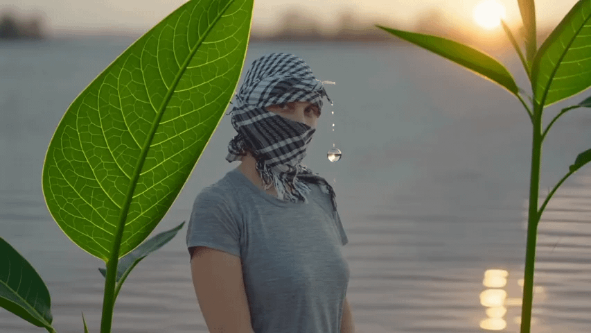 gallery-image-background-2