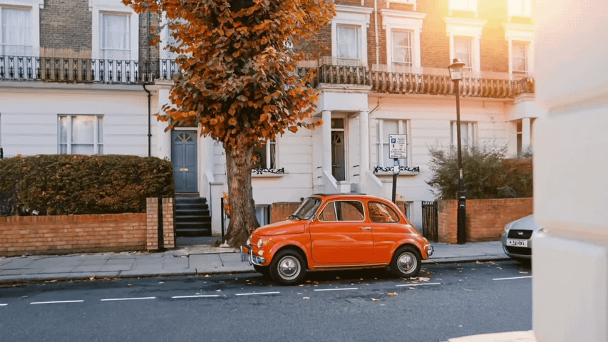 gallery-image-background-1