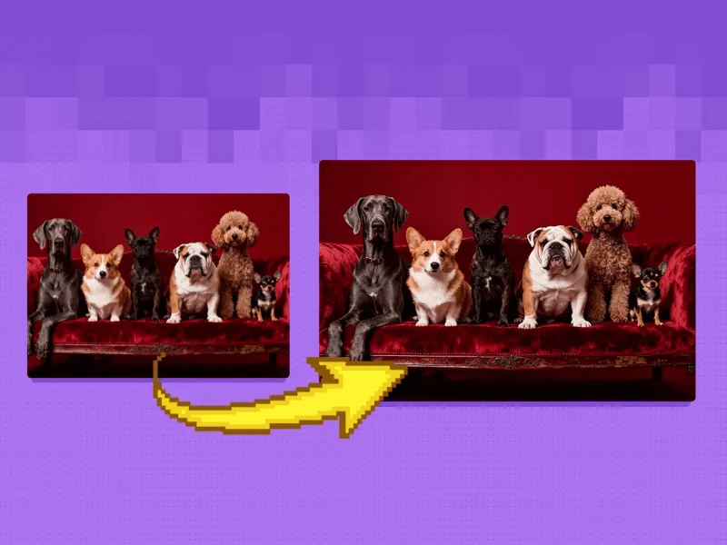 gallery-image-background-4