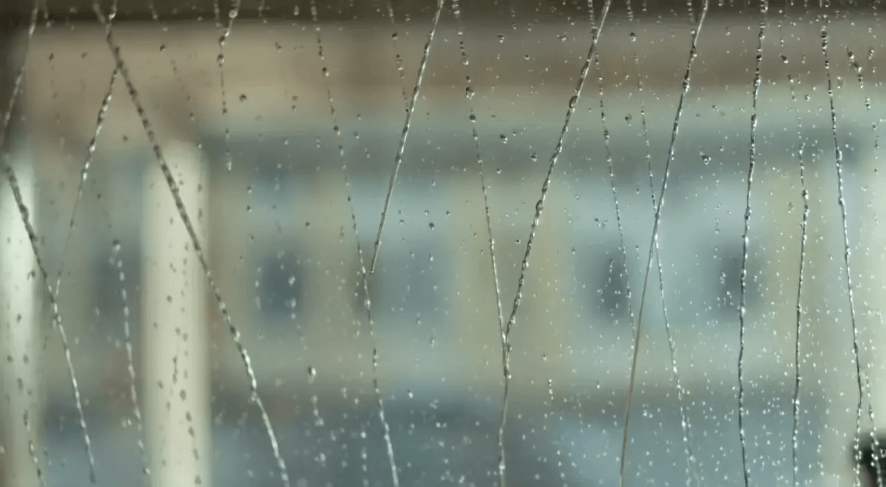 gallery-image-background-3
