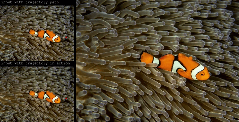 gallery-image-background-1