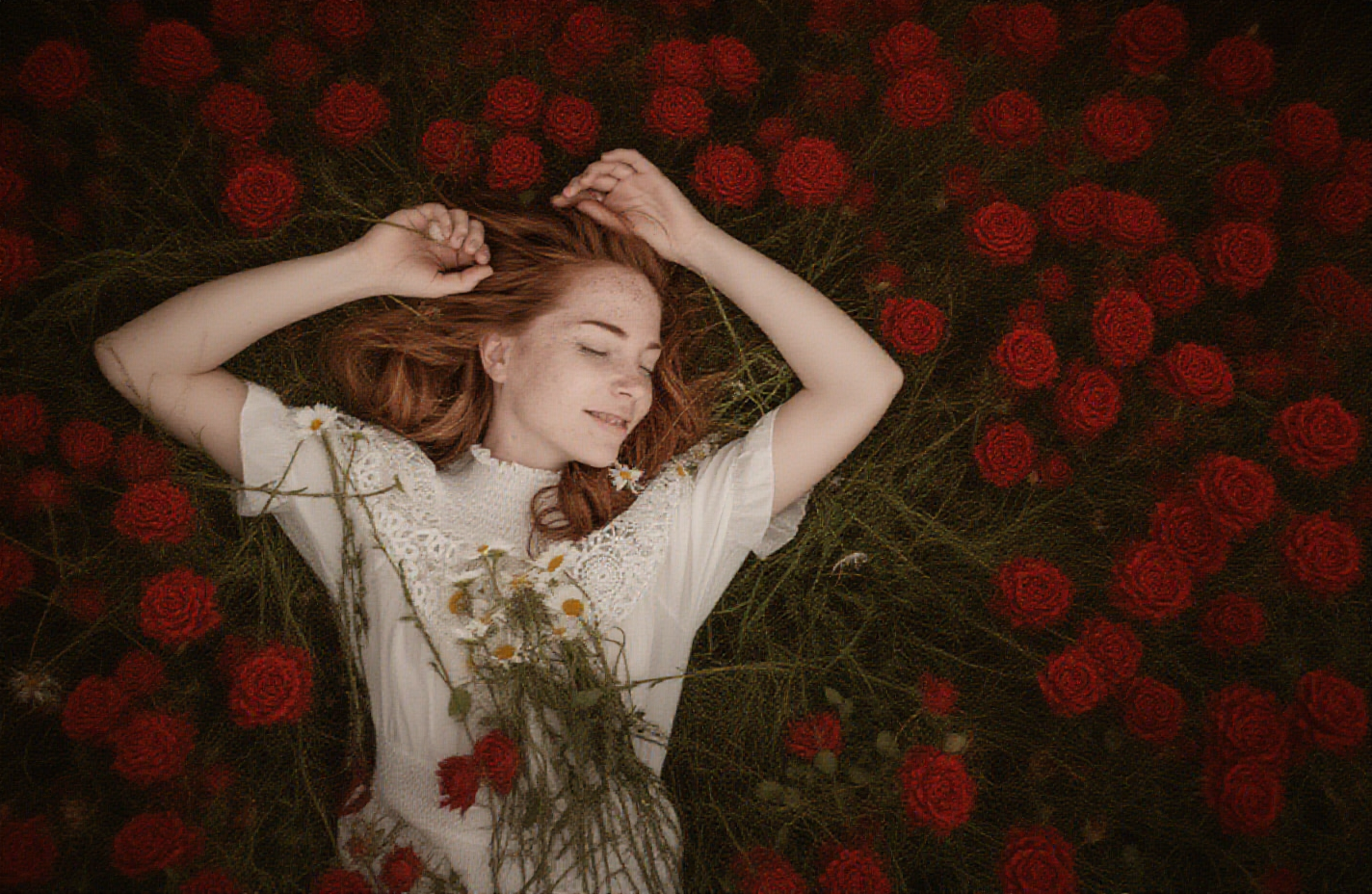 gallery-image-background-1