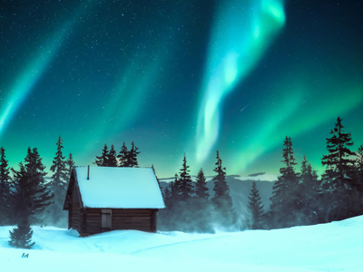 Seedance 2.0 - Image to Video