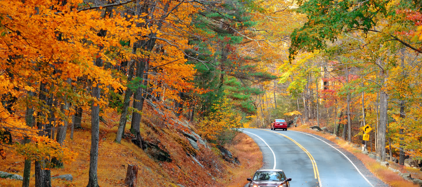 gallery-image-background-1