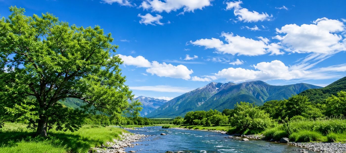 gallery-image-background-0