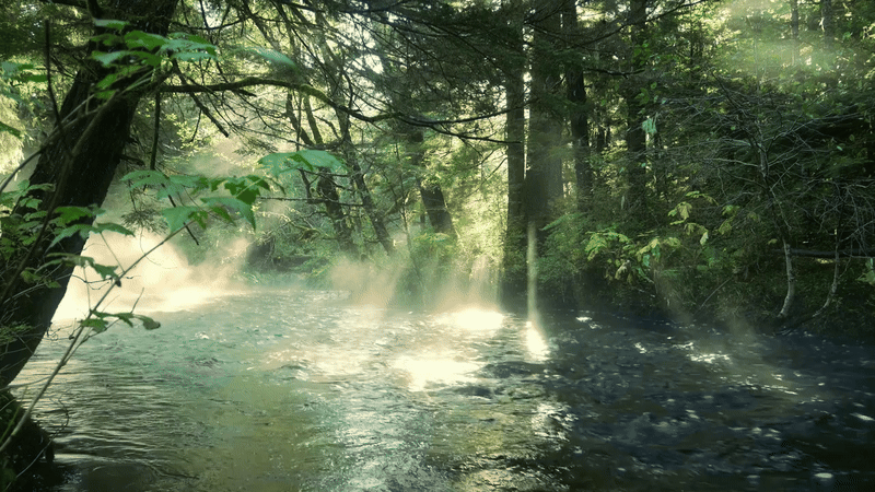 gallery-image-background-1