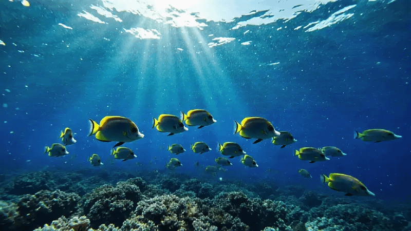 gallery-image-background-7